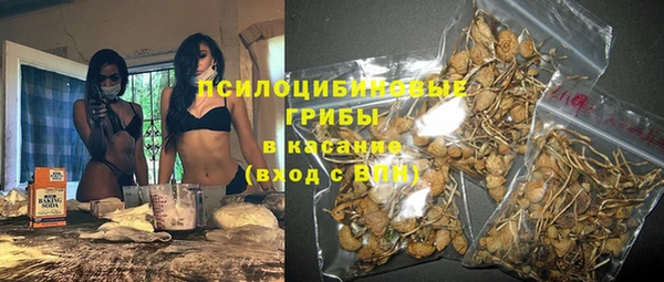 не бодяженный Ладушкин