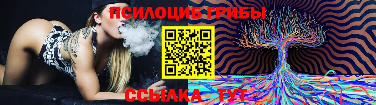 Мыски  Псилоцибиновые грибы Psilocybe  Псилоцибиновые грибы ЛСД  Вход с VPN 
